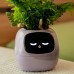 Умный горшок для комнатных растений. Masdio Ivy 6